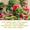 GlÃ¼ckwunsch 1a.jpg