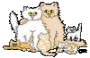 anluorfamily.gif