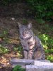 DSCN0074.jpg