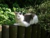 DSCN0038.jpg