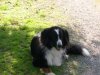 DSCN0099.jpg