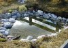 Teich5.jpg