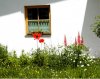 Garten14.jpg