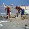 strand-2.jpg