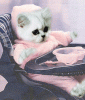 uschikatze.gif