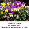 GlÃ¼ckwunsch 15.jpg