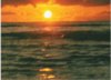 Web. Abendsonne 6.jpg