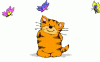 birthdaycat.gif