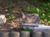 DSCN0072.jpg