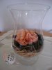 rose im glas.jpg