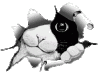 x-felixw.gif