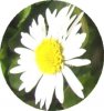 Bilder zum Entwickeln, neu 054.jpg
