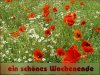 schÃ¶nes Wochenende 1.jpg
