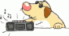 Musik_mit_Hund.gif