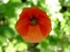 wildermohn.JPG