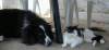 P7250152.gif