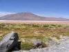 IMG_0308 Wueste Laguna Colorada.jpg