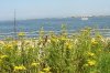 Hooksiel-Urlaub 115 298X198.jpg