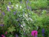 garten6.jpg