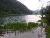 Web. Pillersee.jpg
