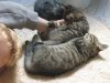Jascha und Babys600_400.jpg