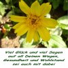 GlÃ¼ckwunsch 6.jpg