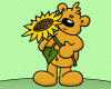 sonnenblumenbÃ¤r.gif