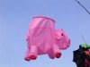 Schwein.jpg