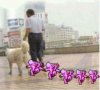 Tiere 049.jpg