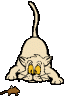 animkatzemaus202.gif
