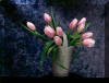 blumenbild8_small.jpg
