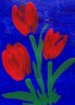 tulpe11.jpg