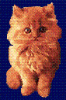 Neues Bild.GIF