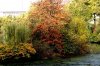 0 Herbst 400X266.jpg