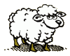 schafe6.gif