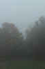 0 Nebel 400X599.jpg