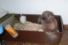 Samson_und_seine_Kinder (7).JPG