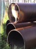 roehre_06.jpg