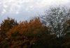 0 Haus 3 400X272.jpg