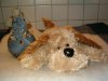 hund33gr.jpg
