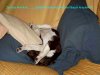 biene 10 wochen 016.jpg