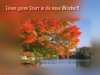 postkarte1070.jpg