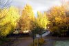 Herbstlicht c  599X400.jpg