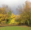 Herbstlicht d 402X400.jpg