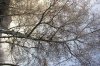 Rauhreif 017 266X400.jpg