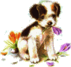 hundogblomster.gif