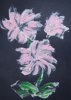 rosa Blume mimmi.jpg