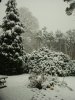 Eike_in_Germany_023.jpg