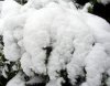 Schnee, neu 021 600X470.jpg