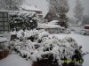 Blumen 00003.JPG